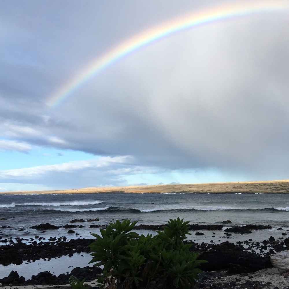 Meet your Posher, Mina